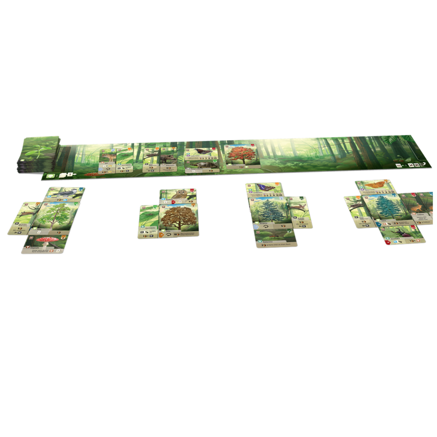 Forest Shuffle kaartspel van Asmodee met uitleg in het Nederlands