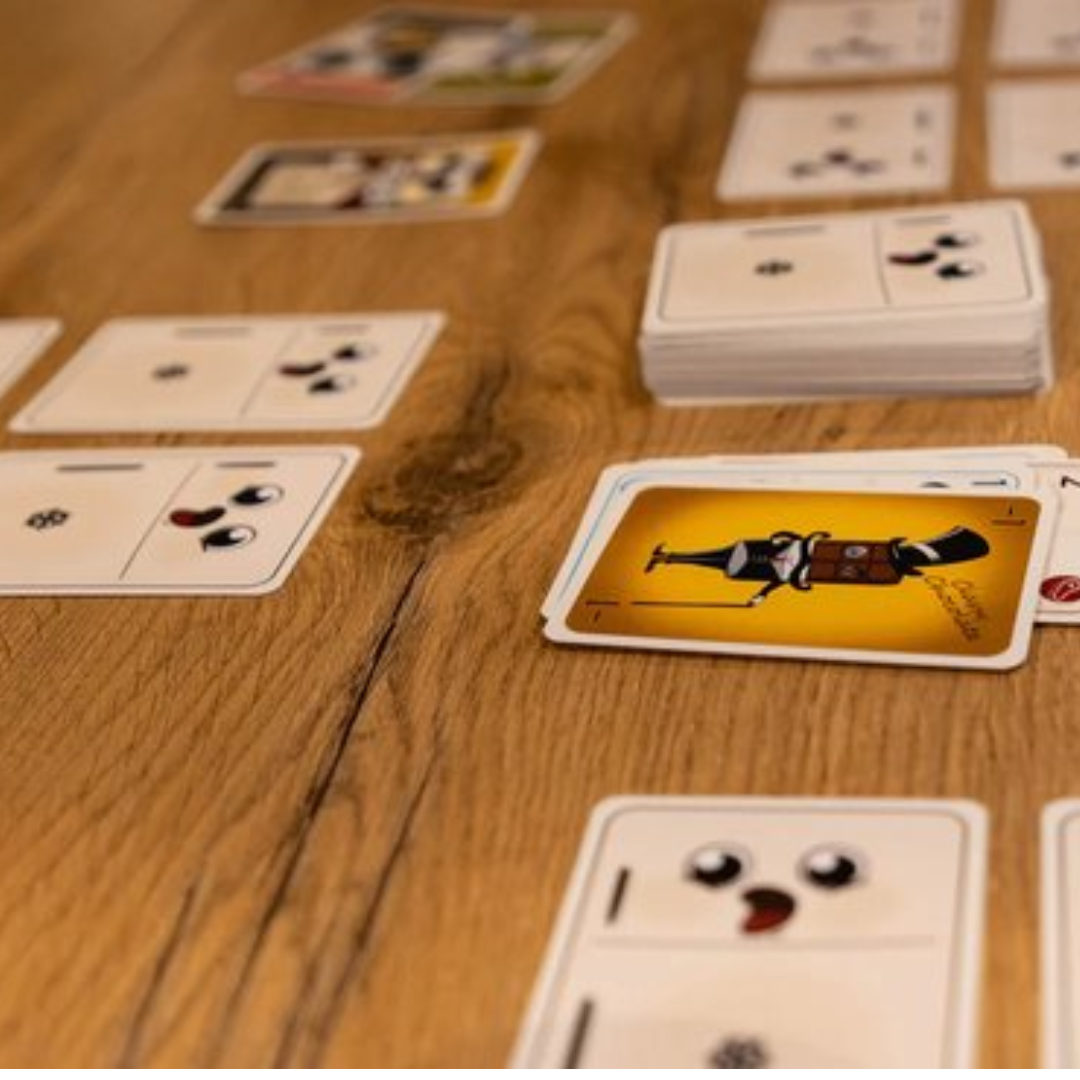 Koning Koelkast uitleg in het Nederlands van dit kaartspel