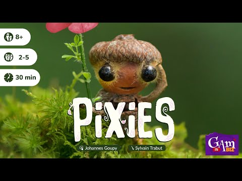 Uitleg van het kaartsspel Pixies in het Nederlands